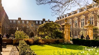 Man pleads guility to arson at Catz