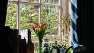 The truth behind the 'rich international student' stereotype