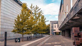 From cloisters to concrete