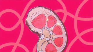 Breaking the silence about kidney disease and donation at Cambridge&nbsp;