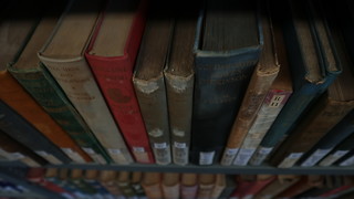 The rhi-novelty of reading