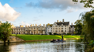 Not all is beautiful in the death of the &lsquo;golden ticket&rsquo;