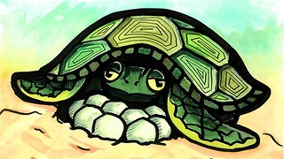 Is the sex of an embryo entirely up to chance?