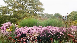 New botany course uses materials studied by Darwin