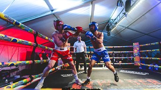 Inside Fight Night’s knockout success