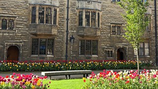 Which spring flower are you?