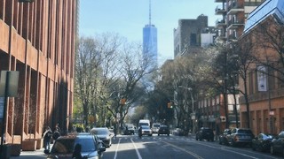 A case of archive fever