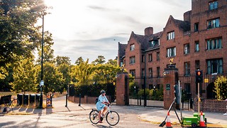 News in Brief: council collaborations, cricket campaigns and Cambridge climate challenges