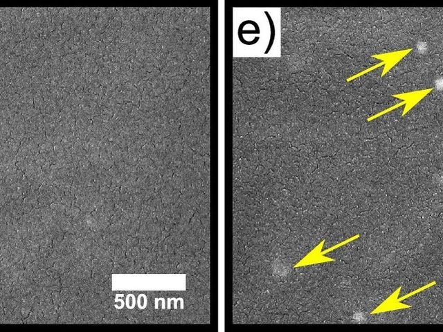 Research Round-up: Week 8