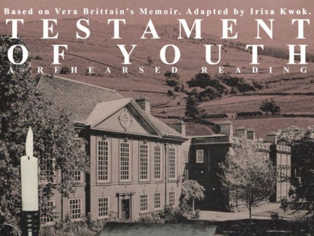 Testament of Youth: an emotional portrait of wartime Britain  