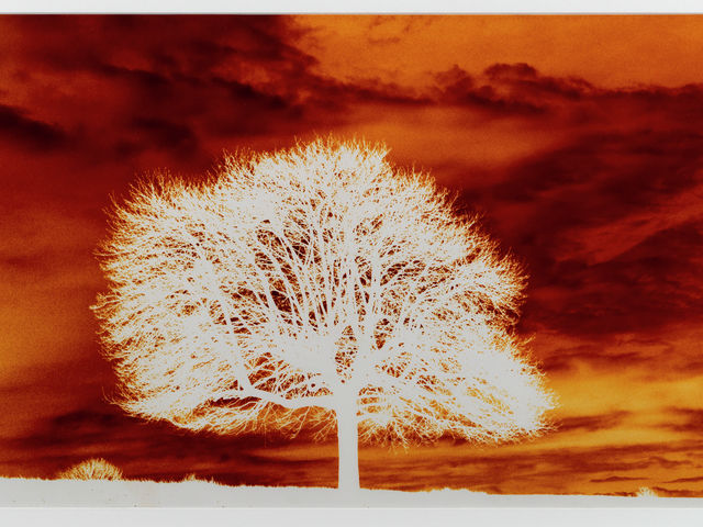 Tim Head’s 'How It Is': Retrospective realities at Wolfson's new exhibition