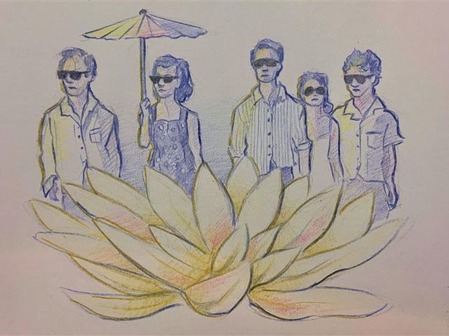 Why I'm worried about the White Lotus effect