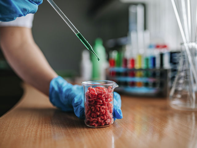 Lab-grown meat: what are the steaks?