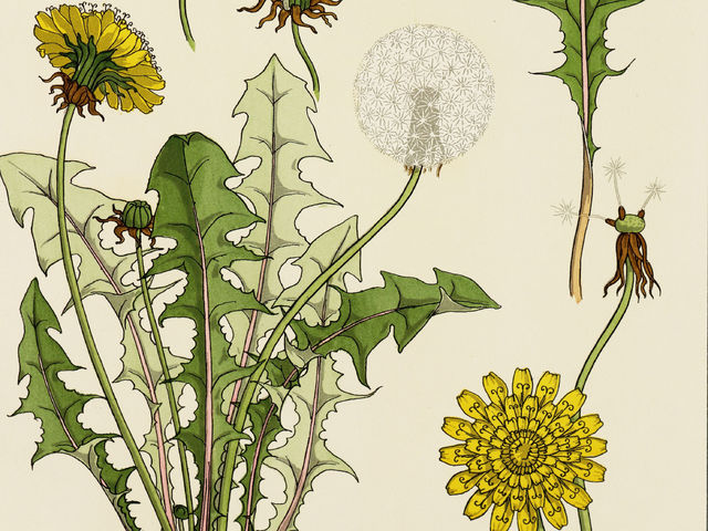 Do you really have 'cortisol face'?