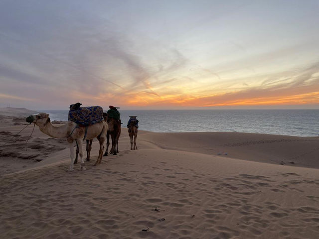 More Cambridge students should study abroad 