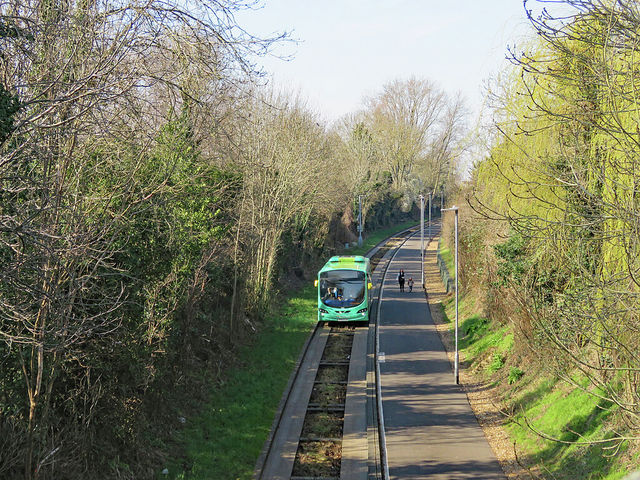 Cambridgeshire council hit with £6m fine over busway deaths and injuries