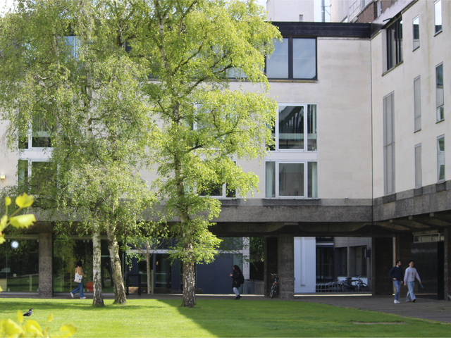 Degree-influenced dressing