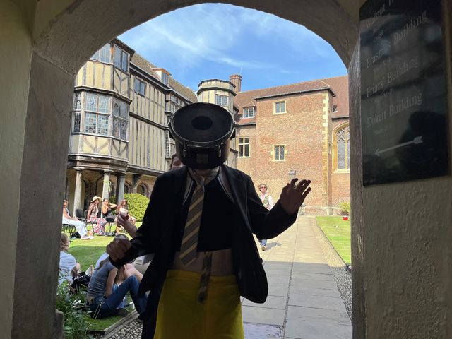Twelfth Night almost achieves greatness