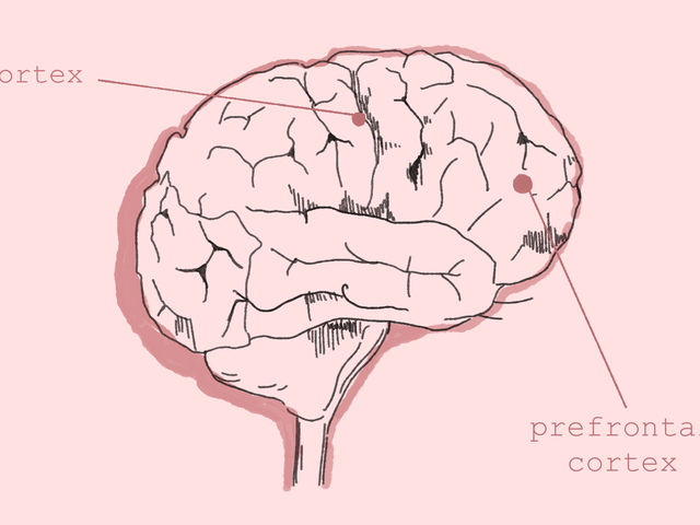 How does the brain become conscious of its thoughts? 