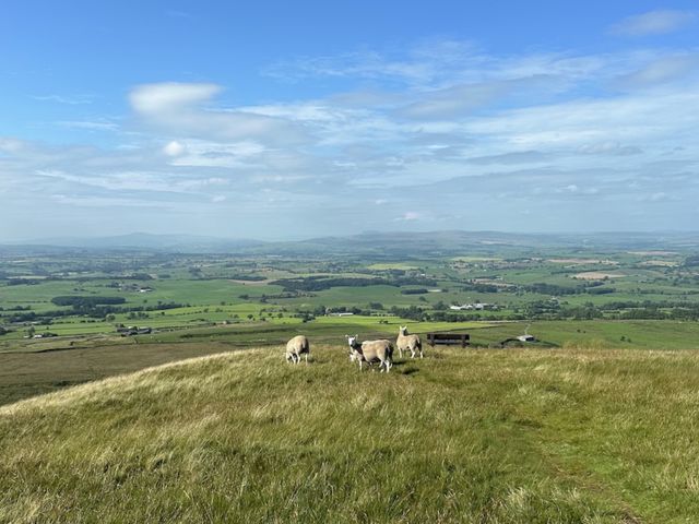 A summer stranded in rural England