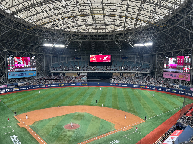 Experiencing Korean Baseball