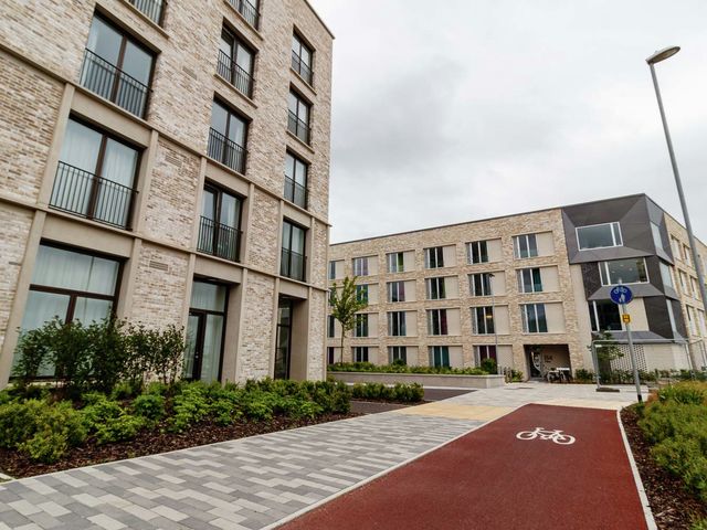 A plague on your new-build houses