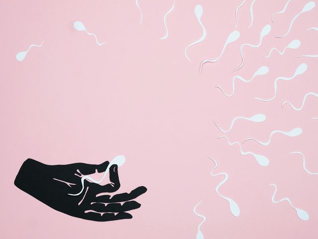 Forget horses, sperm is the new gambling opportunity
