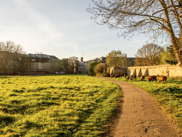 The September art scene