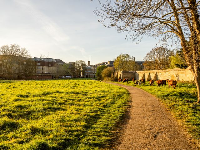 Leave no stone unturned