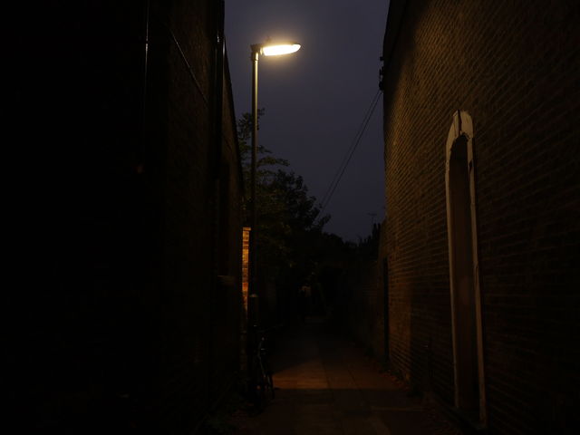 It's not my fault I was followed home 