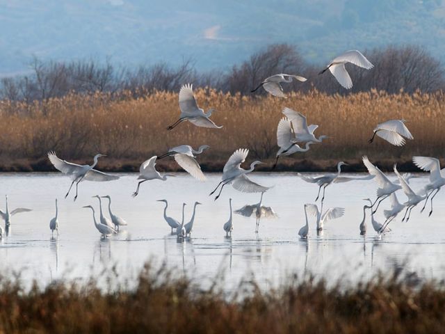 Research Roundup: Week Five