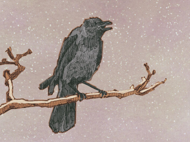 The first Frost of winter