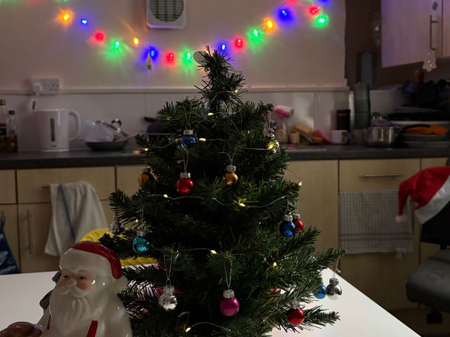 Which Christmas staple are you?