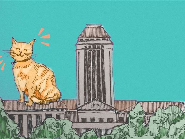 An ode to Cambridge pets