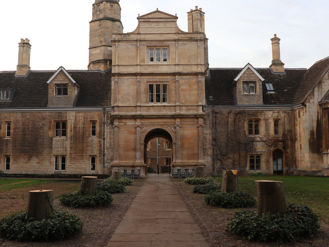 Caius mourns its tree-mendous loss