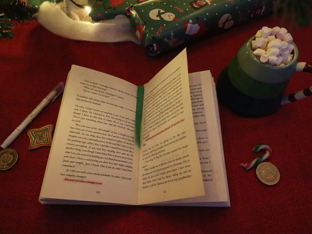 A trad-ish-onal Christmas read