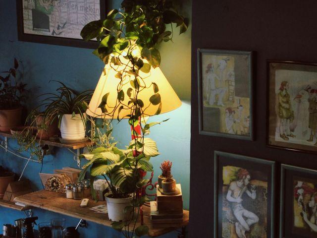 New year, new room, new you