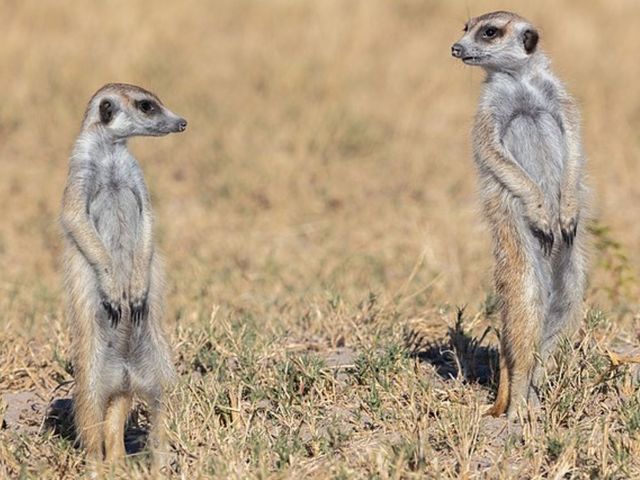 Research Roundup: Week One