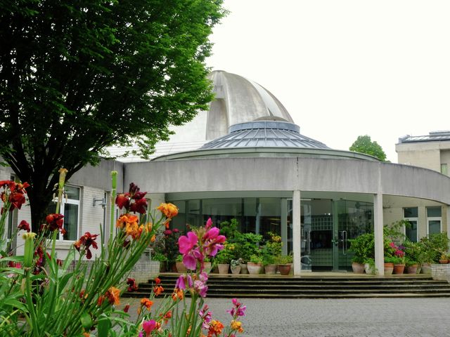 Home is where the art is