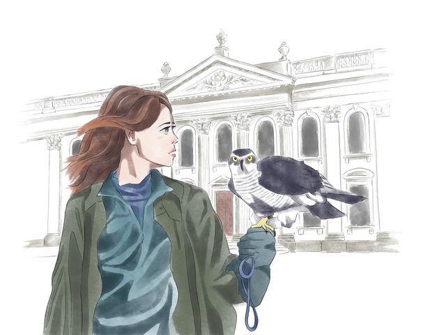 H is for Hawk: Cambridge in cinema