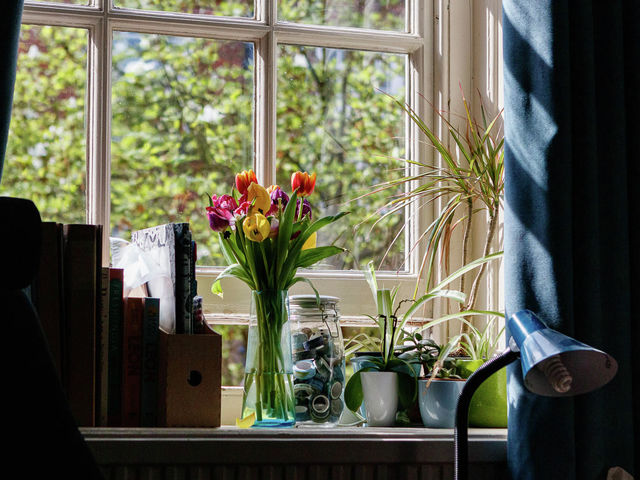 The truth behind the 'rich international student' stereotype