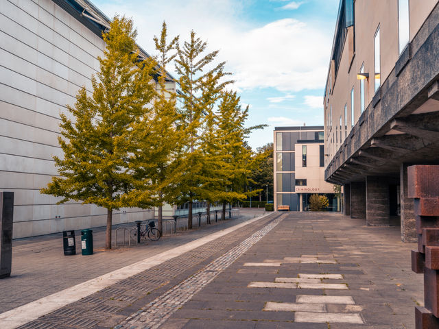 From cloisters to concrete