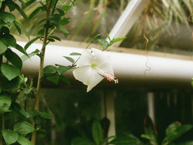 Botanic Garden uses AI for interactive &lsquo;Talking Plants&rsquo; exhibition