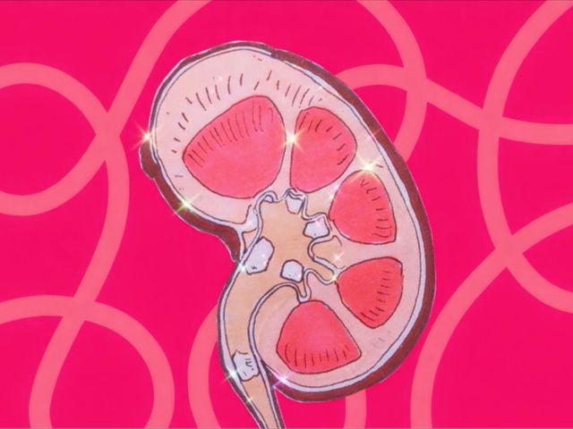 Breaking the silence about kidney disease and donation at Cambridge&nbsp;