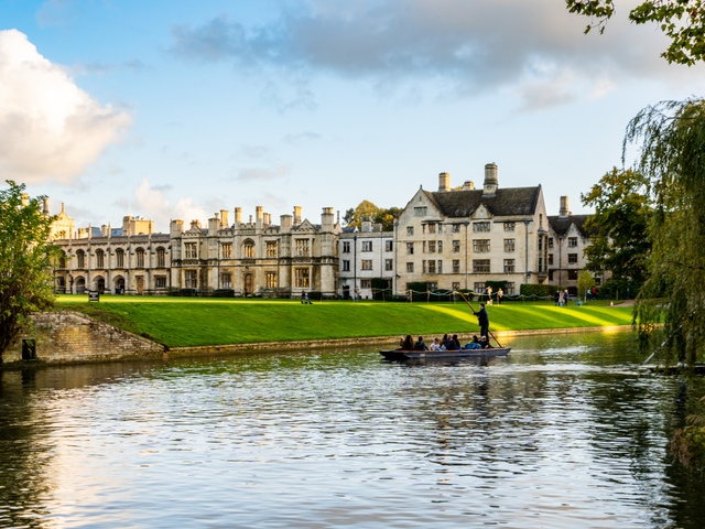 Not all is beautiful in the death of the ‘golden ticket’