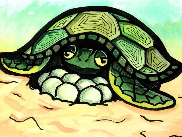 Is the sex of an embryo entirely up to chance?