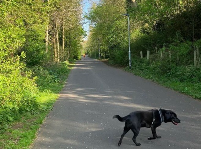 Advice on not losing your mind