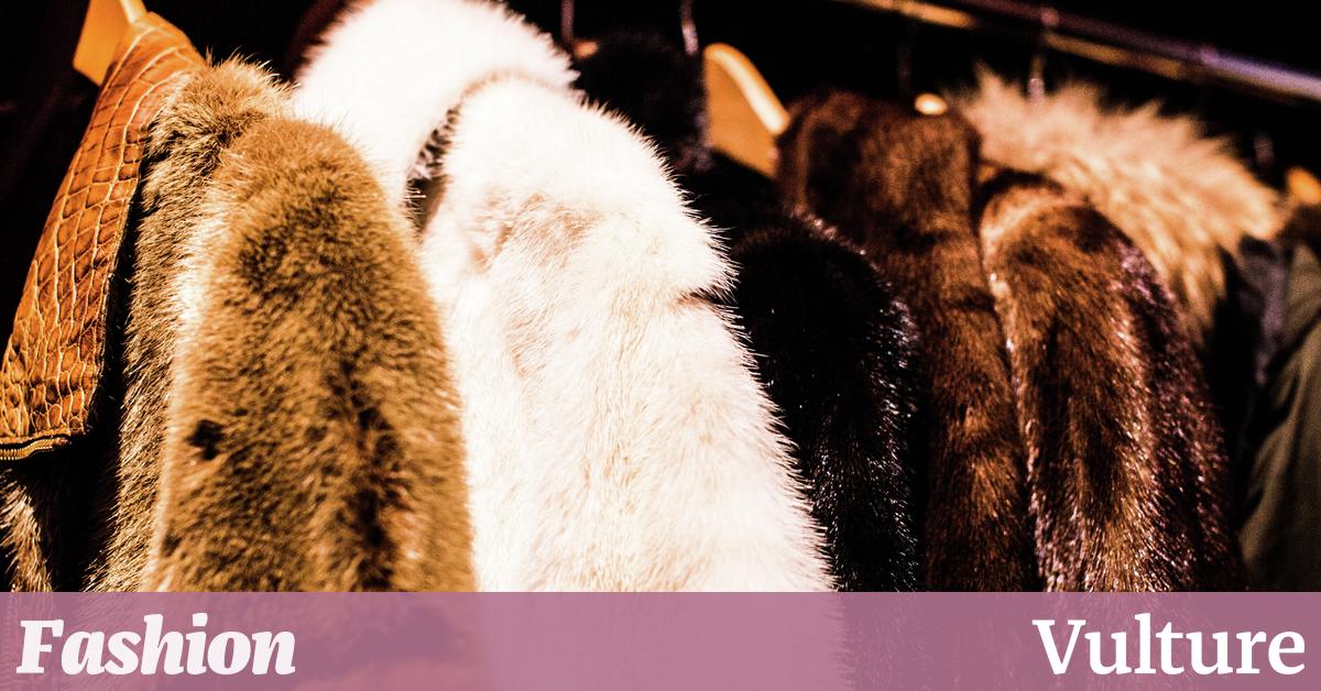 Banning fur in fashion does not deserve our praise | Varsity