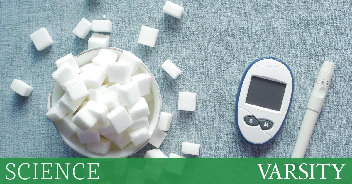 The Zoetrope of personal diet tech reveals a new face Varsity