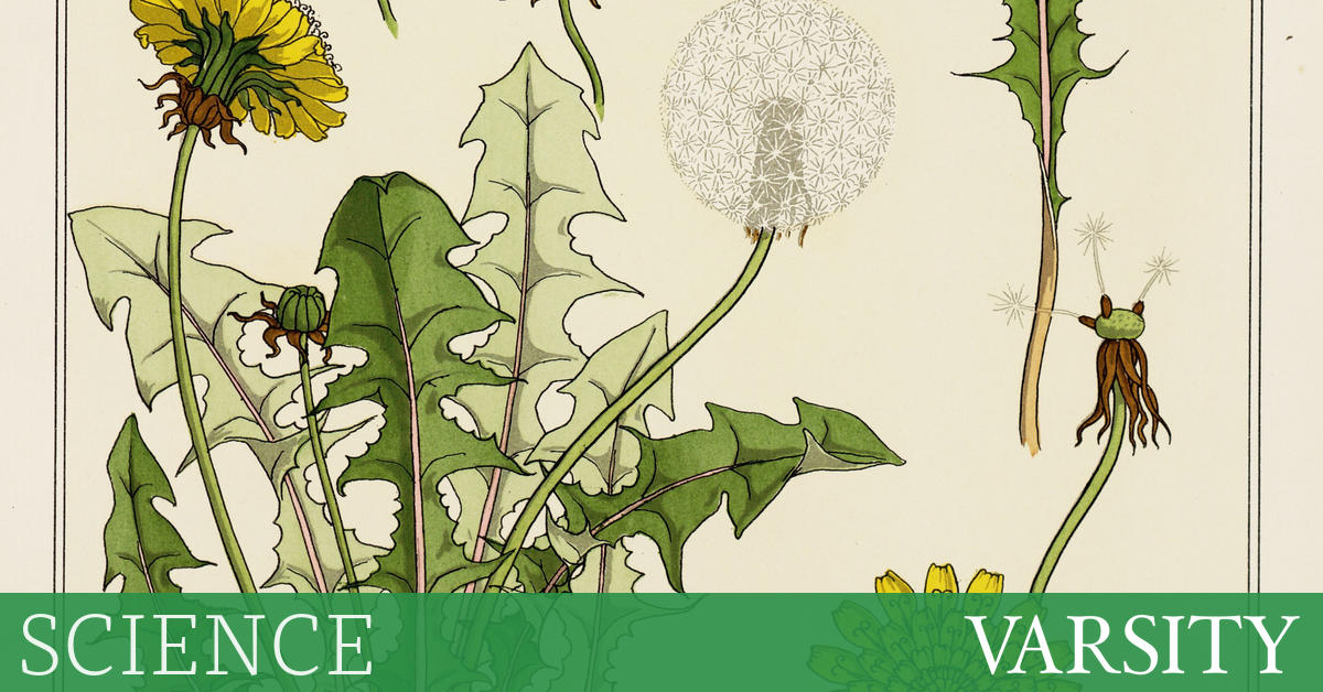 Do you really have ‘cortisol face’?